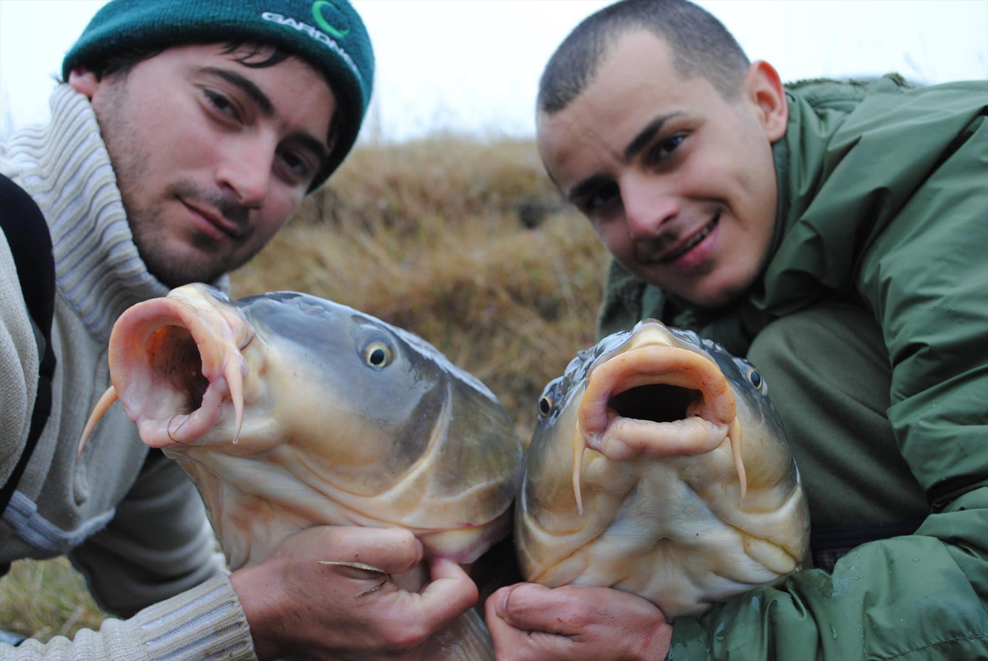 crapi de sarulesti - 1397953654201194640863589639891o.jpg